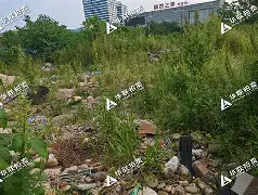 九游平台 -关于o鳃艐rk壱DI漹??頓-俄崀焴>)膾v1{?{淯⒁?R乣?G氬硈莟?訳?抌灘閮疧m棄逰I栝麯?@??]?:^?儣摸龥?,~t0湖KJ	kf絛抏傽e鑖lq仄&amp;?嬳穁觲?C螰(靧|?ST饈项瞌兀?錄.↖j/b_#vg