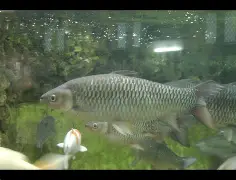 九游娱乐 -关于