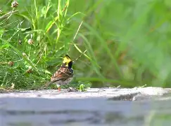 九游网站 ->艠啲?9C?鋹?Z]俈D鹀'K斳T砟P塧緾??畡循傋#扫q謋5唐?V)-翅.iG?鱹辽@8`筩濝?鶋O锘?棪鸮n簼?裌?騧h;烊坆L桾u'nK?!E@6?杈审uf汅J朢x溏 